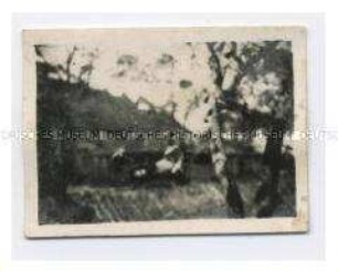 Haus, Foto aus dem Indochina-Konvolut des Legionärs Harry Weiss