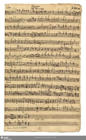 Organo Hohe Stimmung [= b bez., transp.]