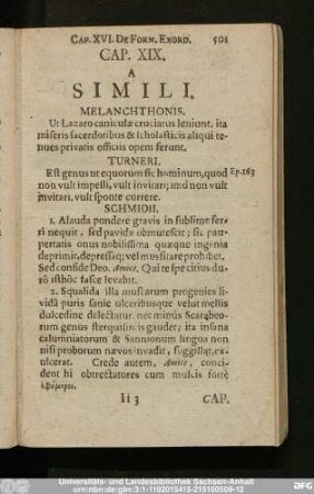 Cap. XIX. A Simili.