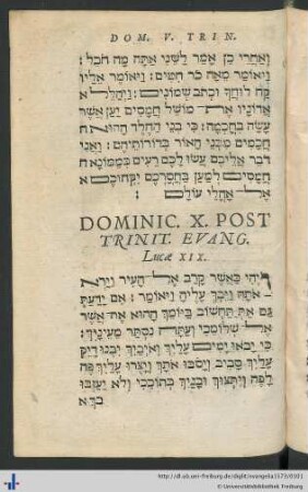Dominic. X. Post Trinit. Evang. Lucae XIX.