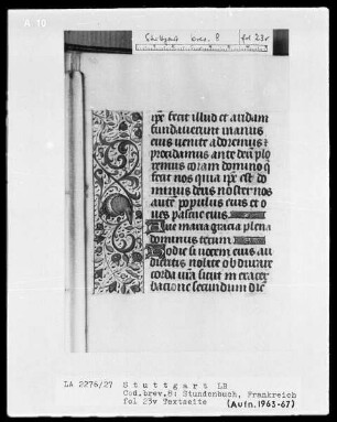 Lateinisch-französisches Stundenbuch — Bordüre mit Gürteltier, Folio 23 verso