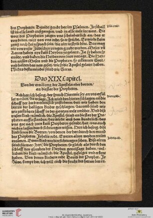 Das XIX Capitel