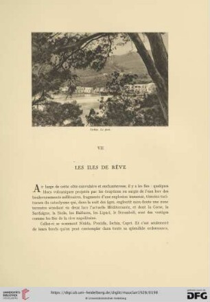 VII. Les îles de rêve
