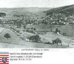 Zell im Odenwald, Panorama