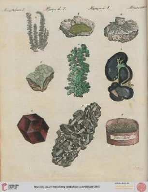 B.I. No. 11 - B.I. No. 20