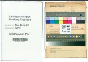 Entnazifizierung Paul Steinhaeuser , geb. 00.00.0000 ()
