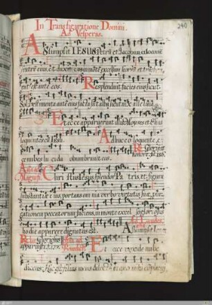 Nachträge auf Rasur