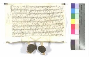 Erblehenrevers gegen Hans Schmid, gennant Köllin, zu Ulm über Mähder zu Unterweiler