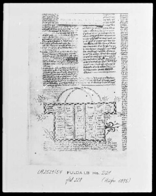 Decretalen Gregors des neunten mit Glosse — Arbor affinitatis, Folio 228verso
