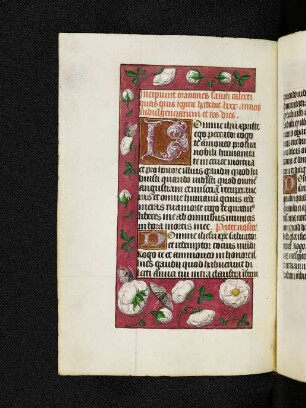 Orationes sancti Calixti papae
