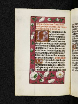 Orationes sancti Calixti papae