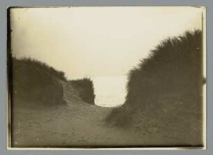 Dünen an der Ostsee