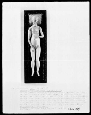 Anatomisches Modell einer schwangeren Frau