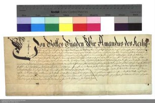 Lehenbrief Amands [von Buseck], Abt von Fulda, für Karl Friedrich Gottlieb Graf von Castell und weitere namentlich genannte Personen über das halbe Dorf Remlingen