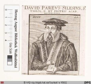 Bildnis David Pareus (eig. Wängler)