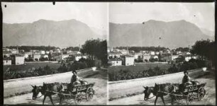 Lugano. Bauer mit Pferdefuhrwerk