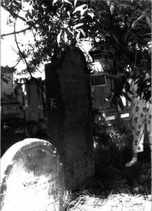 Grabstein 789 (Index: 100105102) Material: Sandstein Zustand: teilweise verwittert Maße HxBxT: 189x84x13 cm Beschreibung: Stele, eingezogener Rundbogenabschluss, eingetieftes Schriftfeld, im Bogenfeld Akanthus-Ornament in einem Gefäß (Schale) Symbolik: Akanthus: Grabstein 789