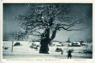 Zinnwald. Wintersportplatz Zinnwald - "Grenzbuche"