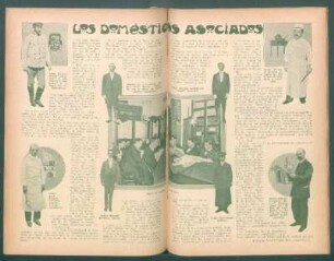 Los domésticos asociados
