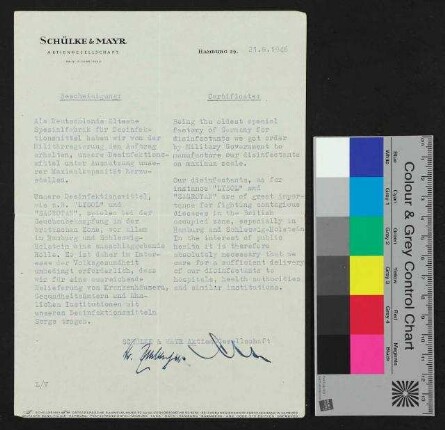 Bescheinigung - Dokumente unmittelbar nach dem 2. Weltkrieg, u.a. Entnazifizierungsverfahren