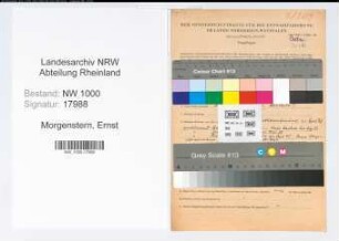 Entnazifizierung Ernst Morgenstern, geb. 27.12.1902 (Arzt)