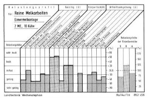 Belastungsprofil, Reine Melkarbeiten, Eimermelkanlage, 2 ME, 10 Kühe