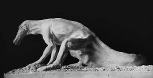 Urzeitliche Tiere. Saurier. Gipsmodell eines Claosaurus („gebrochene Echse“). Erster Fund 1890