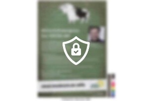 Wirtschaftskongress - Das GRÜNE BIP