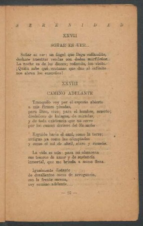 XXVIII - Camino adelante