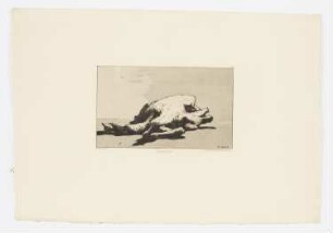 Nature morte