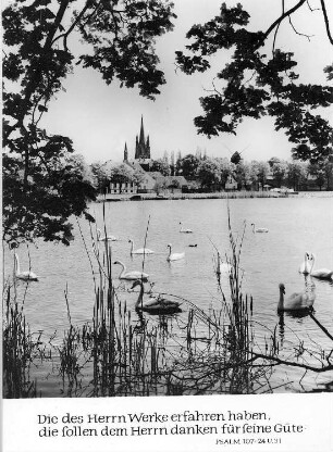 Werder (Havel). Stadtansicht mit Bockmühle, Ansichtskarte
