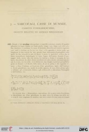 7. Sarcofagi, casse di mummie, cassette funerarie mummie, [...] (No. 1957 - 2055)