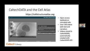 Automating FAIR metadata for software and datasets using open APIs