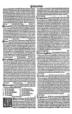 XXXVI. Sene