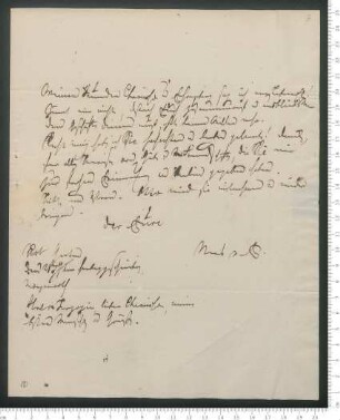 Brief von Christian Gottfried Daniel Nees von Esenbeck an Adelbert von Chamisso und Christian Gottfried Ehrenberg