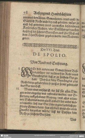 Der XVI. Titul. Von Raub und Entsetzung