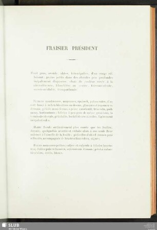 Fraisier Président