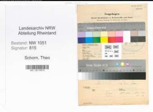 Entnazifizierung Theo Schorn , geb. 04.04.1894 (Anwalt)