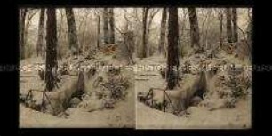 Kleiner Wasserfall im Schlosspark im Winter, Eutin