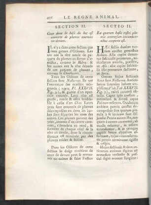 Section II.