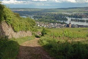 Rüdesheimer Kuhweg; Rüdesheim, Kuhweg, Germaniastraße