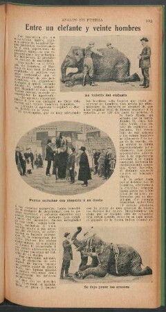 Entre un elefante y veinte hombres : Asalto de fuerza