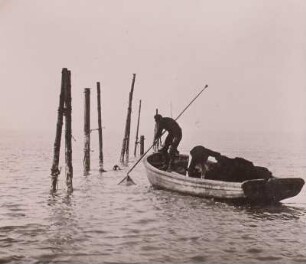 Nordsee. Fischfang. "Gammel" - Fang, 1, Anhaken des Netzes.