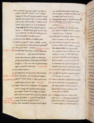 De remediis fortuitorum (Auszug)