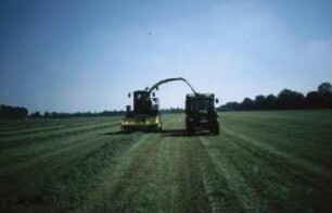 Fotografie: Ernteverfahren, Feldhäcksler selbstfahrend, Grassilage, Parallelverfahren