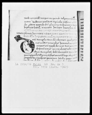 Augustinus, In Johannem evangelistam tractatus 22-54 — Initiale D, Folio 115 verso