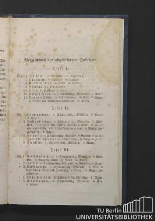 Verzeichniß der abgebildeten Insekten.