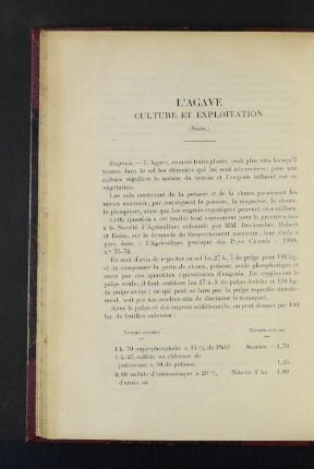 L'Agave Culture Et Exploitaton.