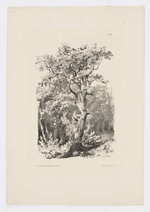 Landschaft mit Baum