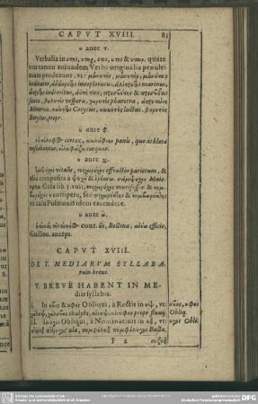 Caput XVIII. De Y. Mediarum Syllabarum breui